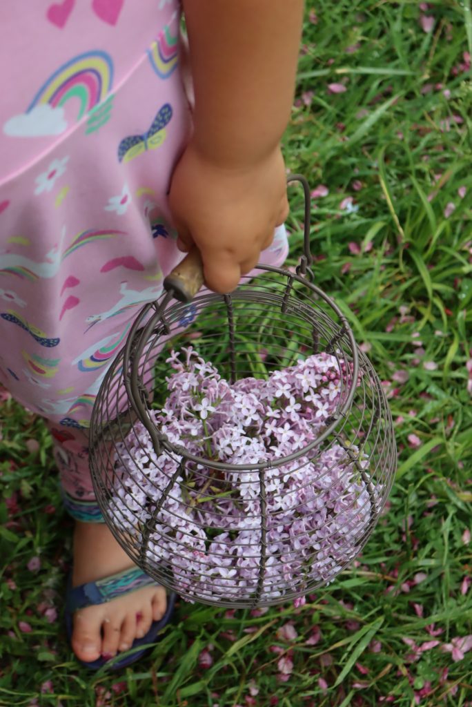 Basket of Lilacs for Jelly