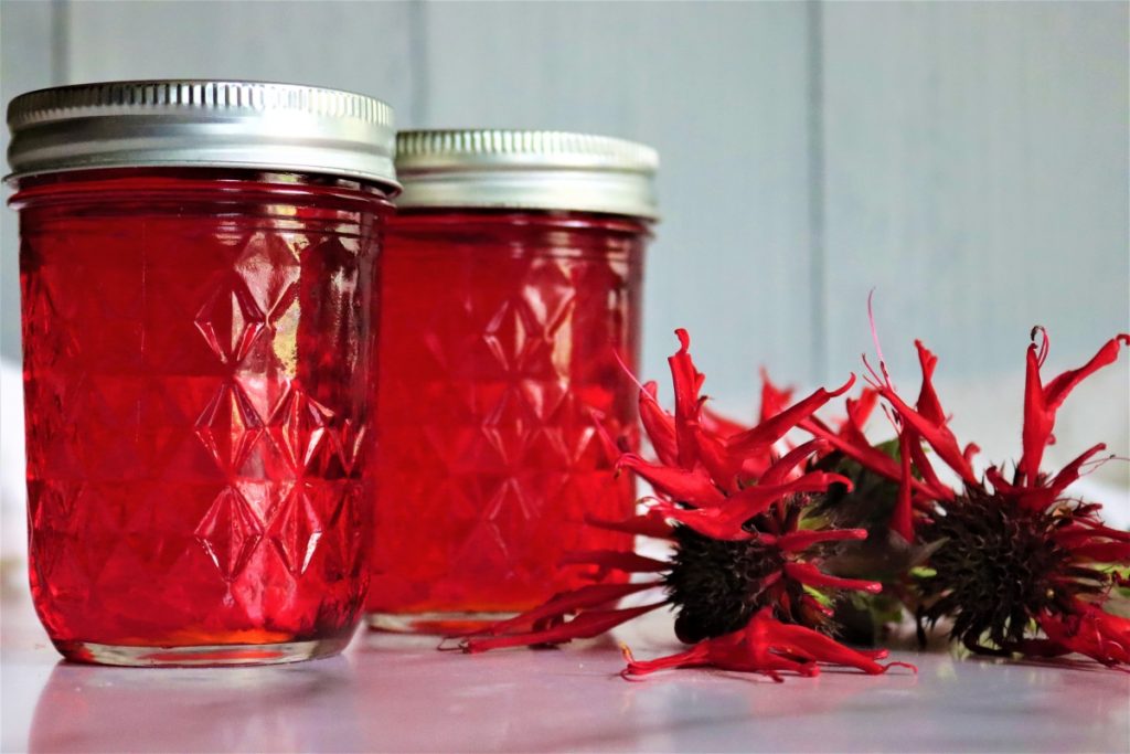 Bee Balm Jelly