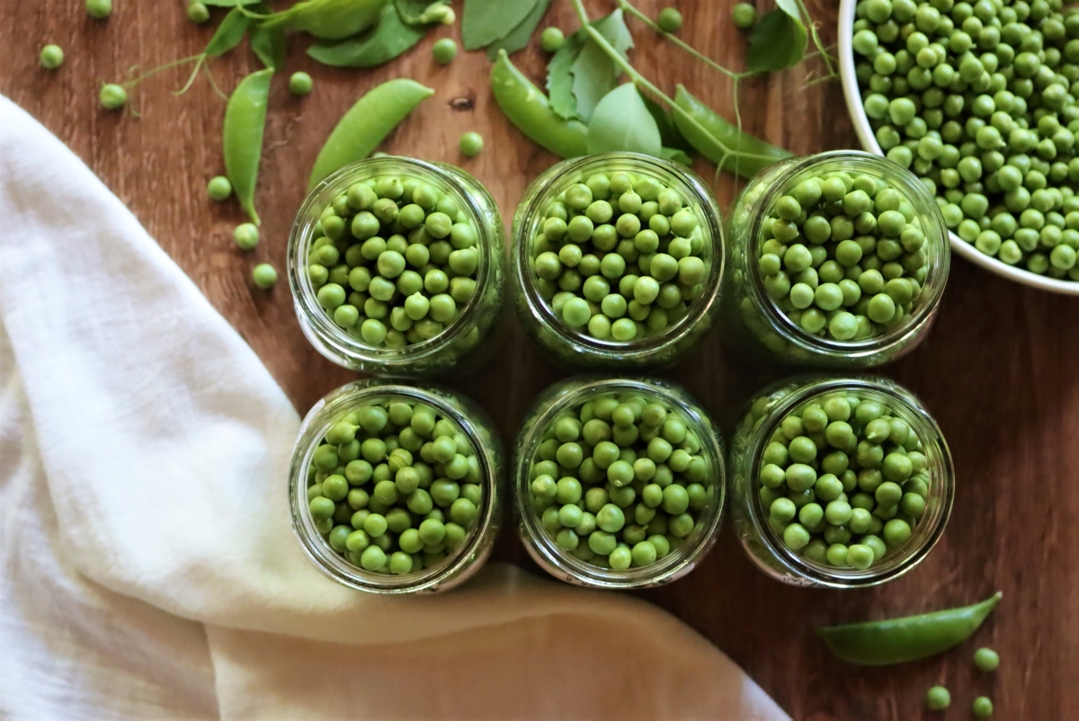 Canning Peas