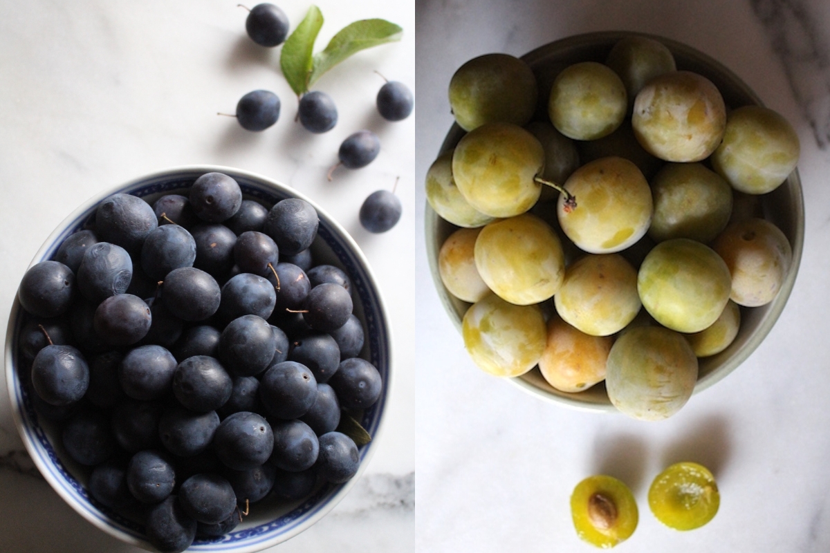 Damson Plums and Greengage Plums