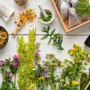 Herbal Remedies