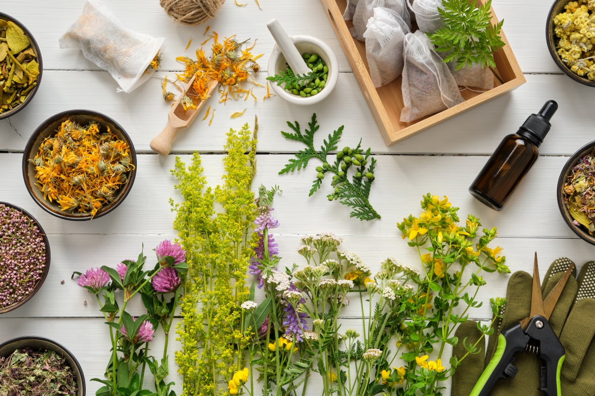 18 Herbal Remedies Anyone Can Make at Home
