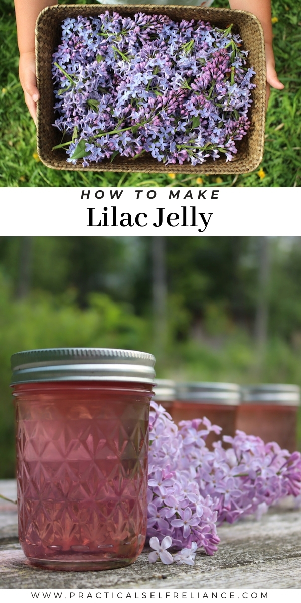 How to Make Lilac Jelly