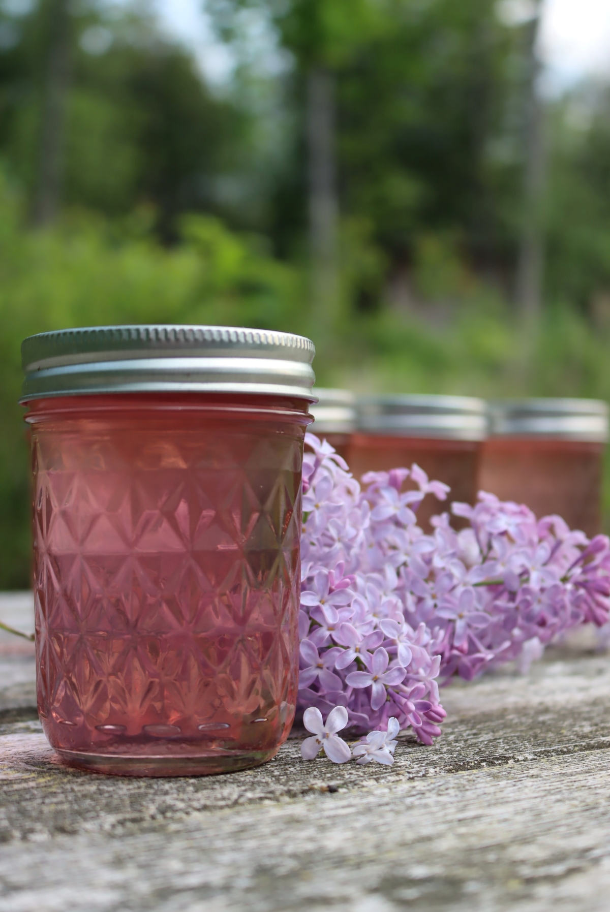 Lilac Jelly