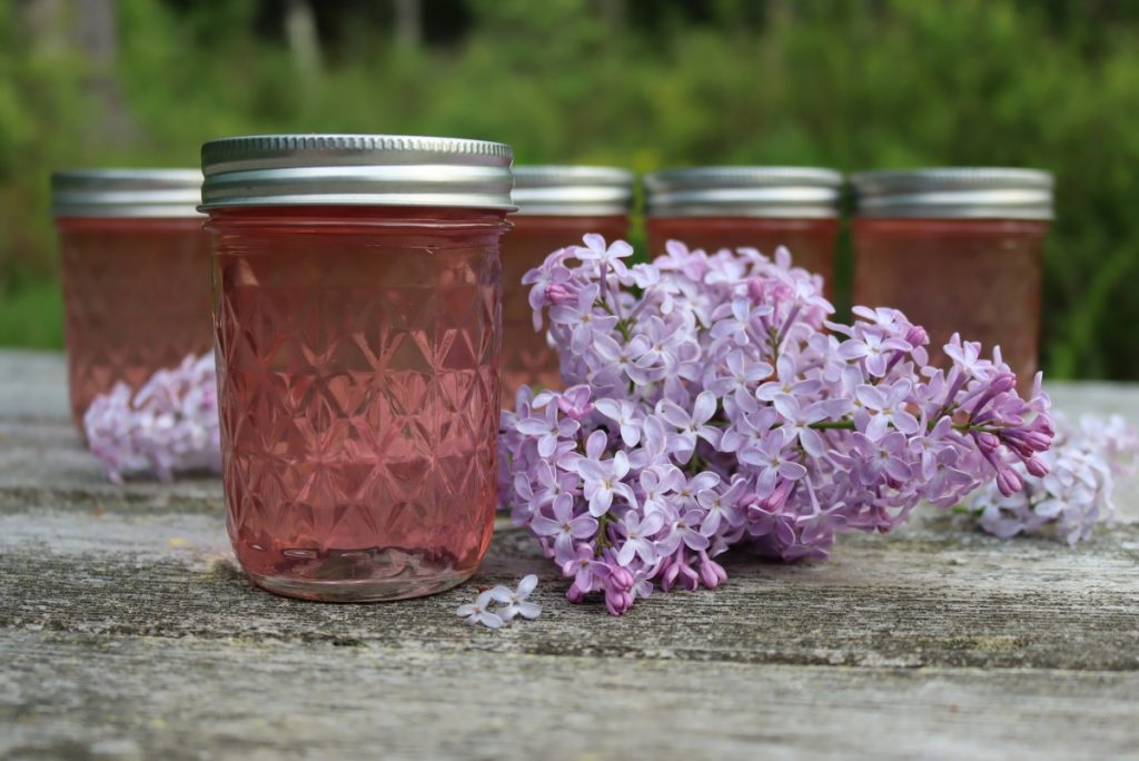 Lilac Jelly