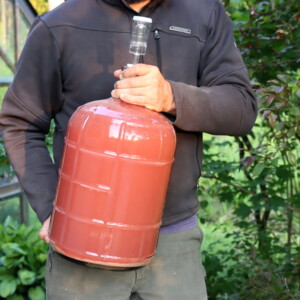 Plum Wine