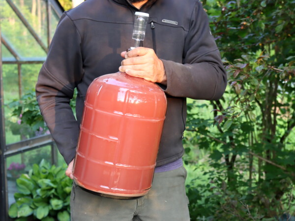 Plum Wine