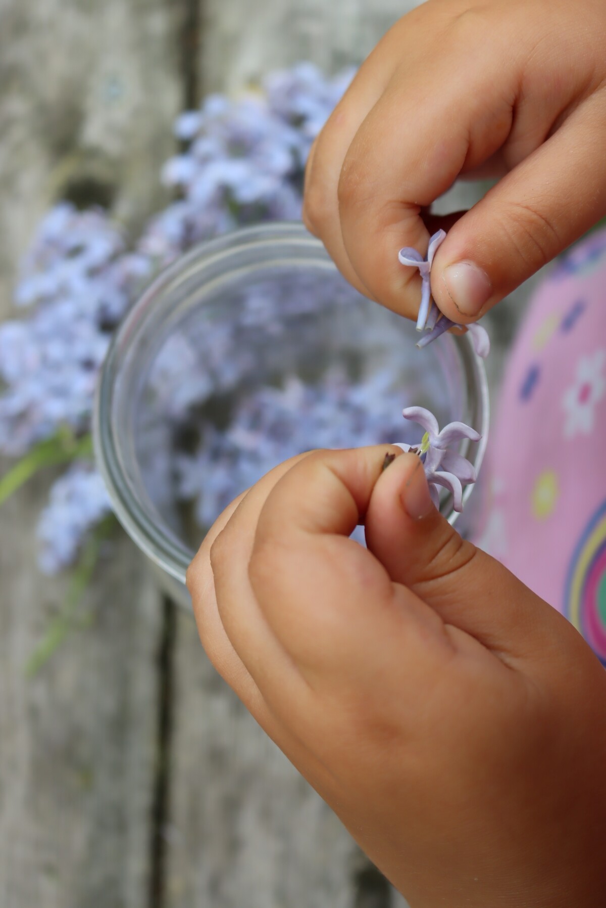 Separating Lilac Flowers