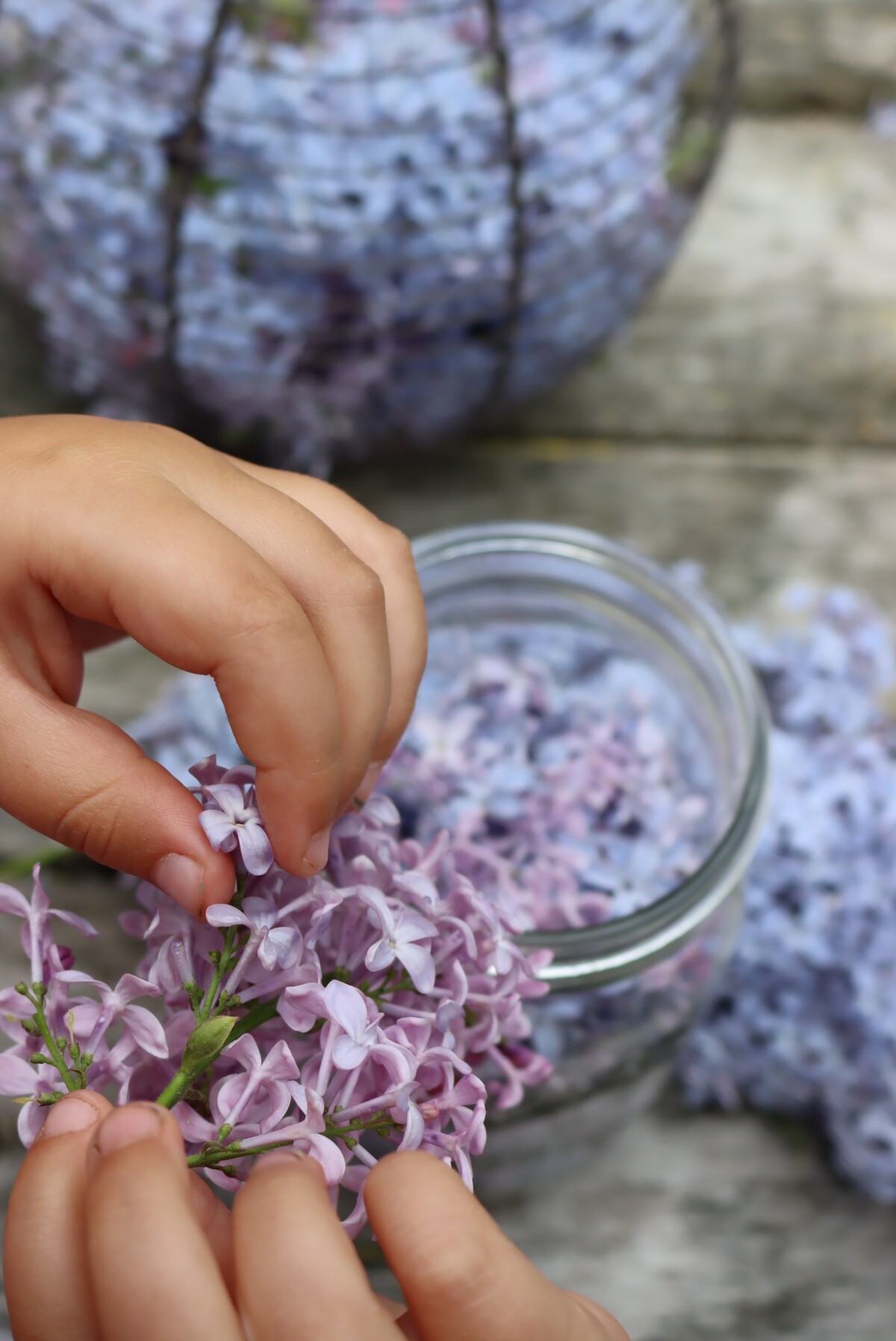 Separating Lilac Flowers