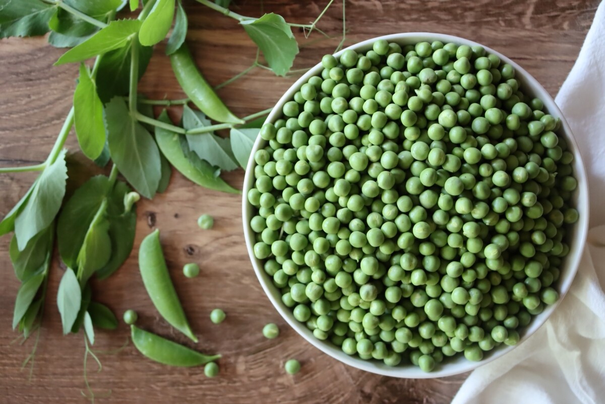 Shelling Peas for canning