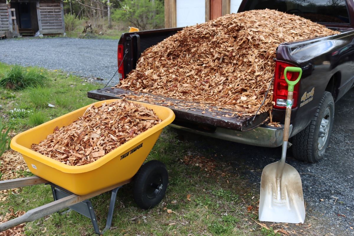 Unloading Wood Chips