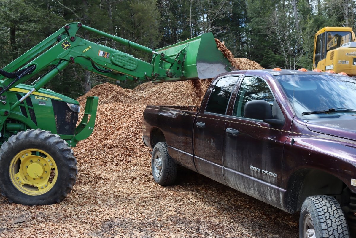 Where to Get Wood Chips