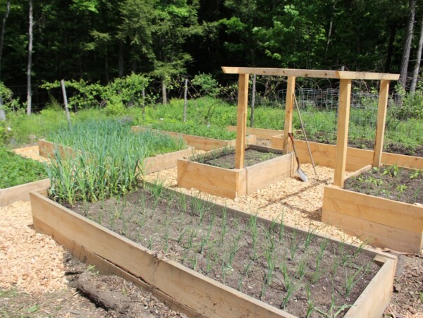 Wood Chip Gardening