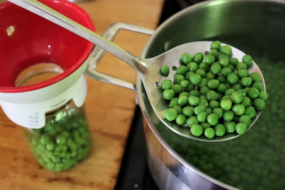 canning peas hot pack
