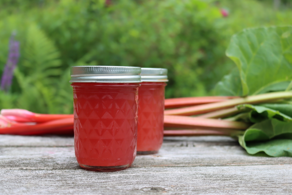 Canning Rhubarb Juice