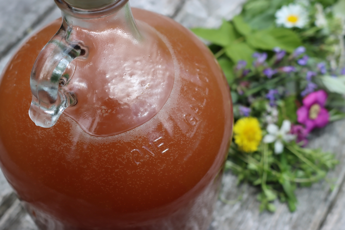 Gruit Herbal Beer