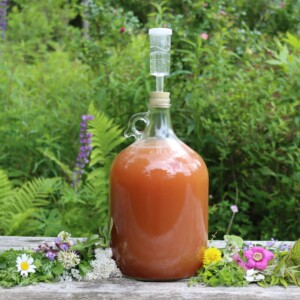 Gruit Herbal Beer
