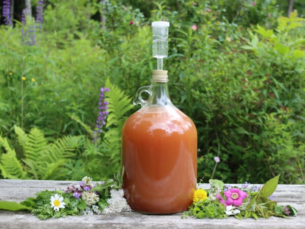 Gruit Herbal Beer