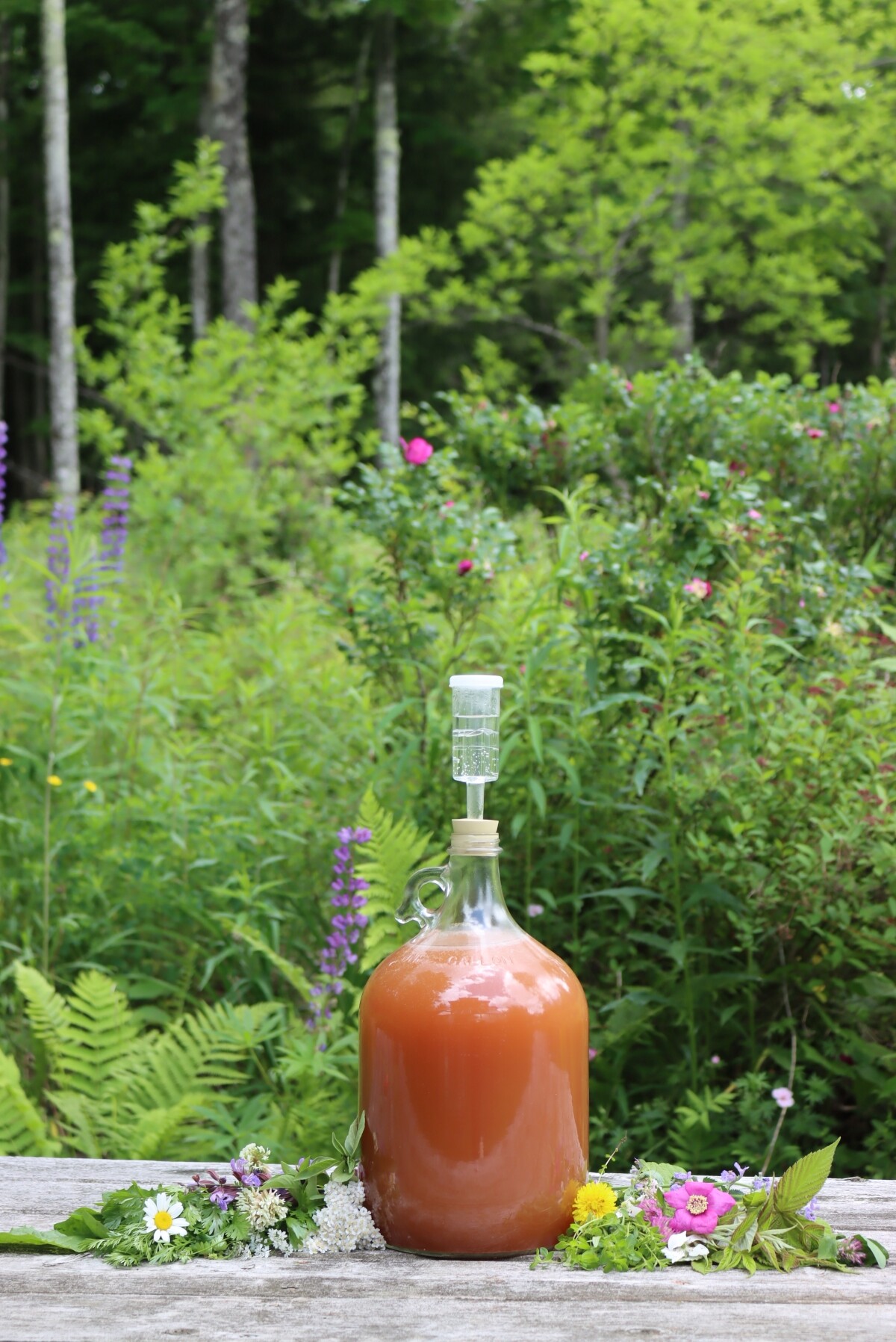 Gruit Herbal Beer