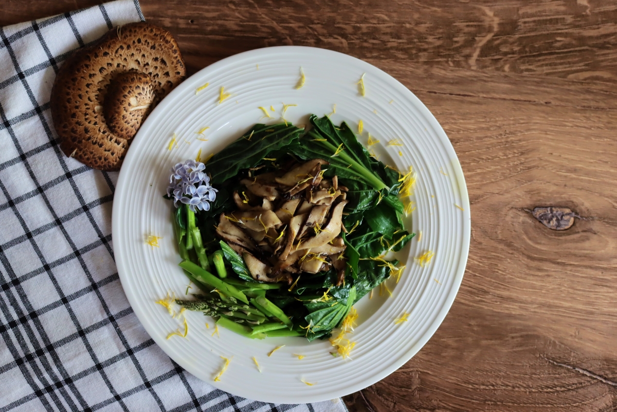 Pheasant Back Mushroom Recipe
