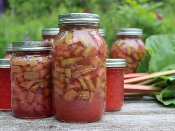 Rhubarb Canning Recipes