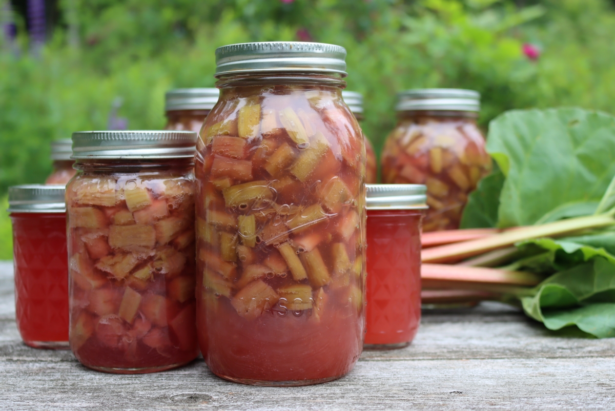Rhubarb Canning Recipes