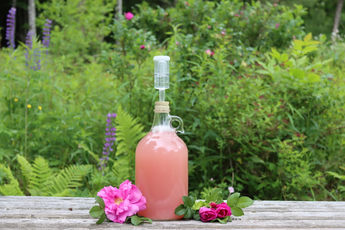 Rose Petal Wine (and Mead)