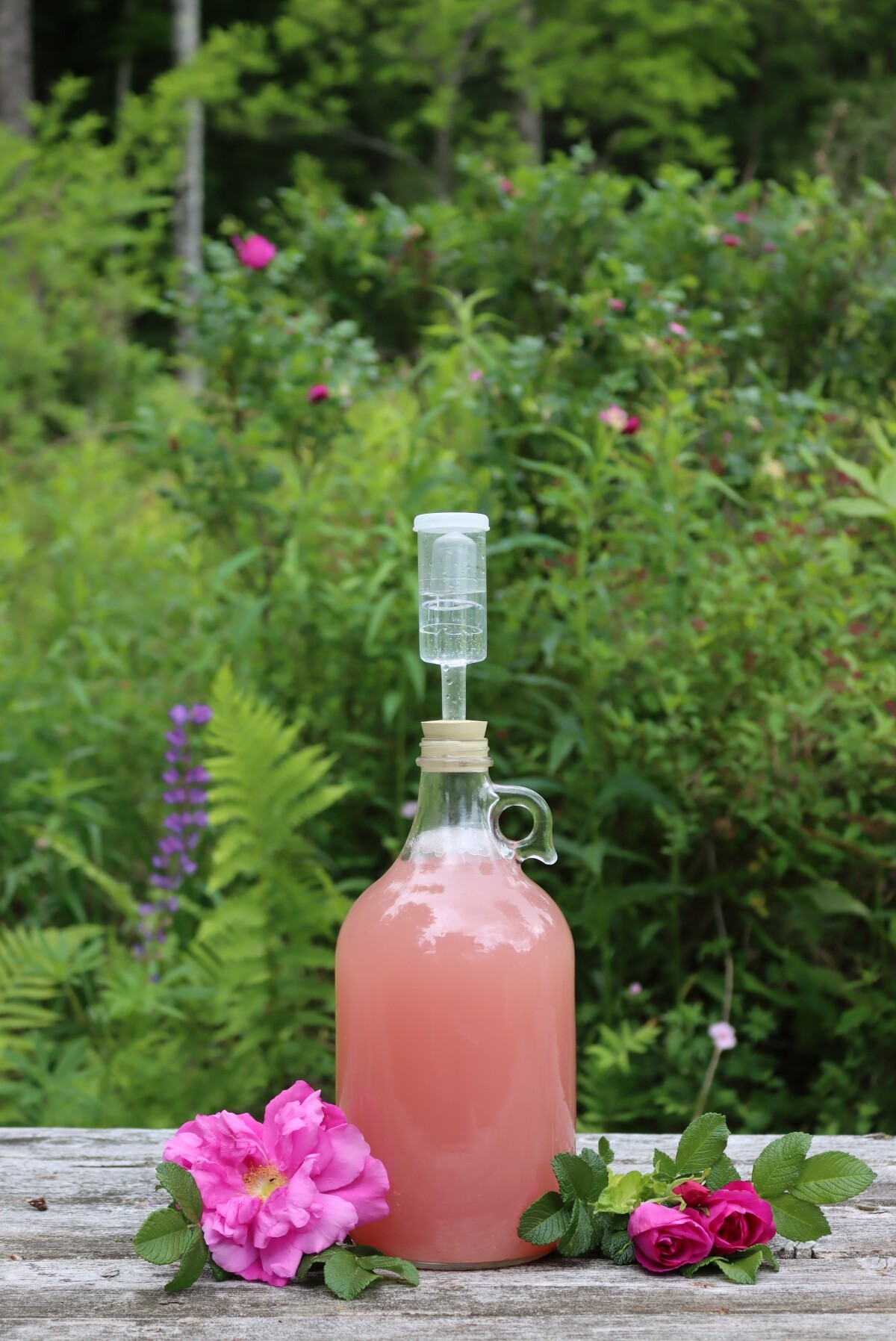 Rose Petal Wine