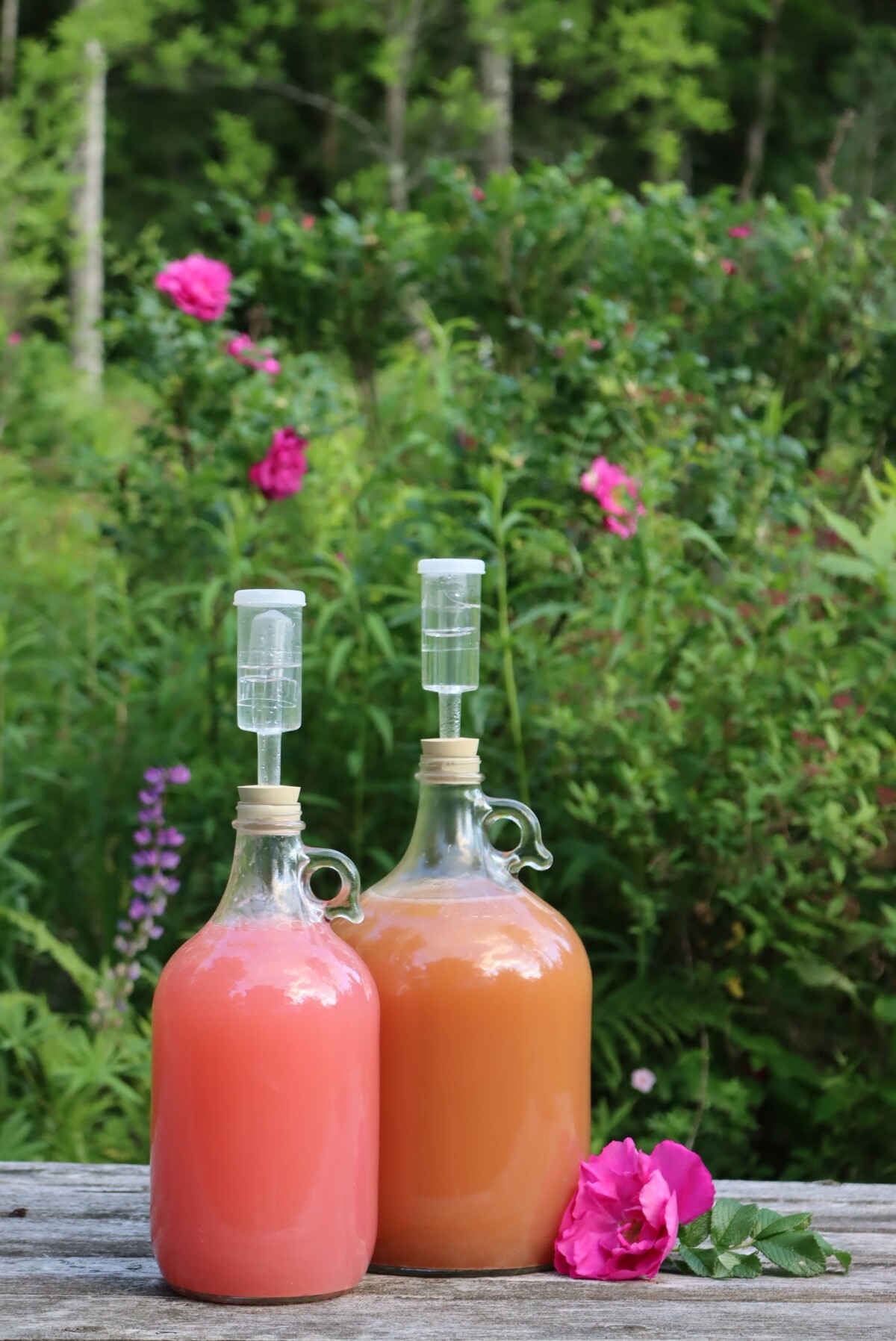 Rose Petal Wine and Mead