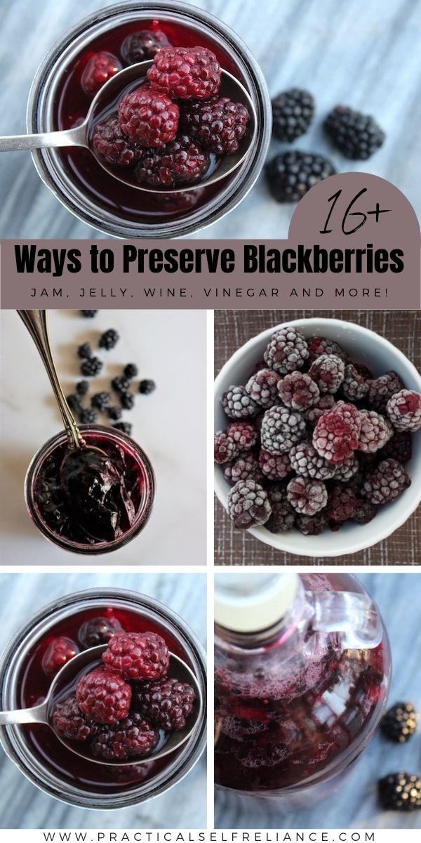 Ways to Preserve Blackberries