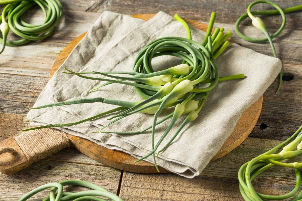 30+ Ways to Use Garlic Scapes