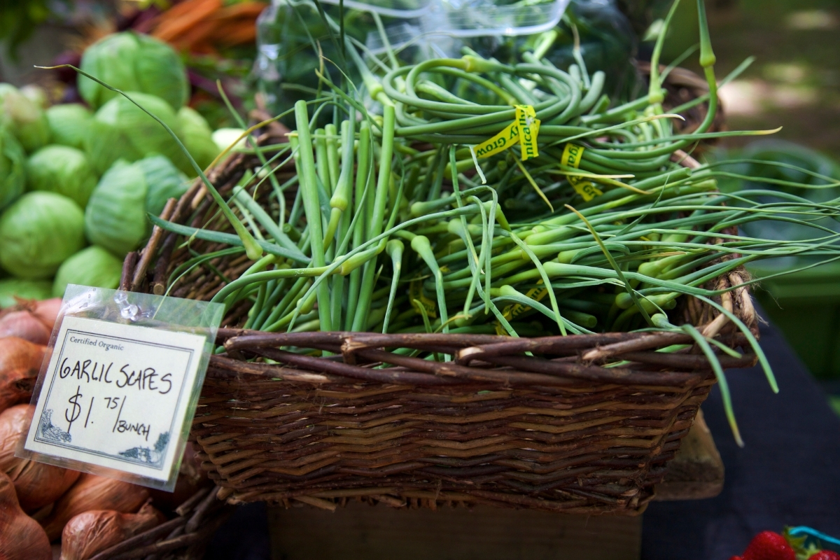 Garlic Scapes at Farmers Market
