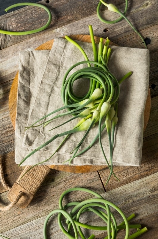 garlic scapes