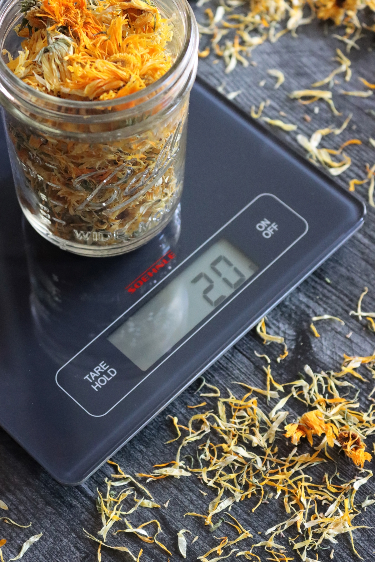making calendula oil
