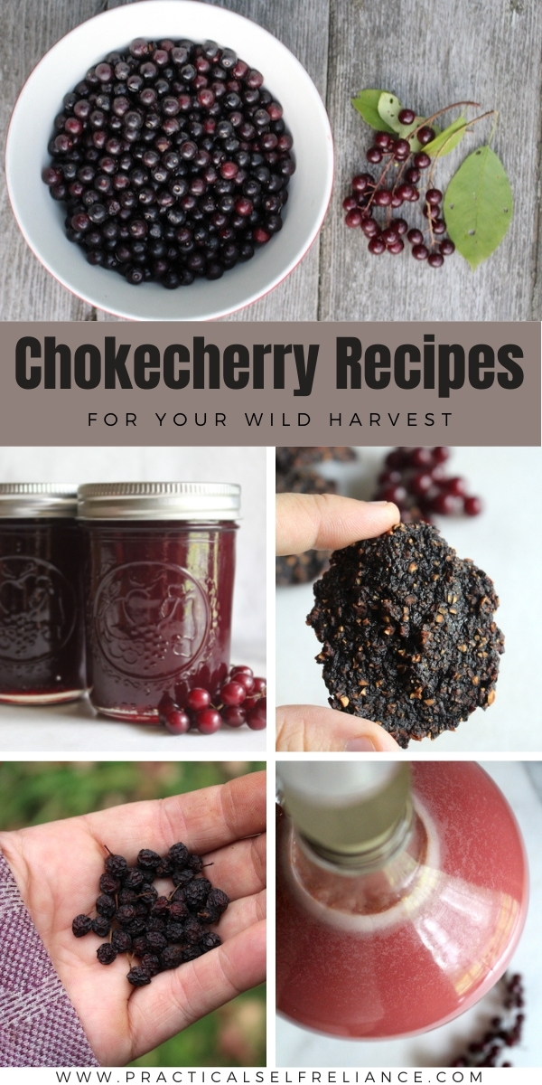 Wild Chokecherry Recipes