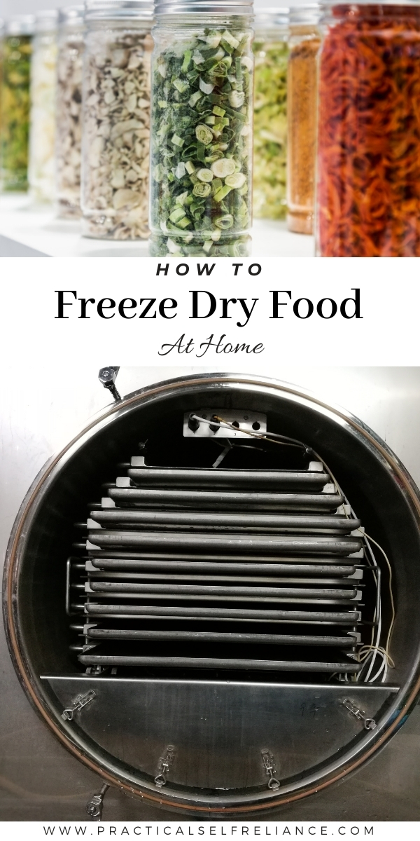 How to Freeze Dry Food at Home