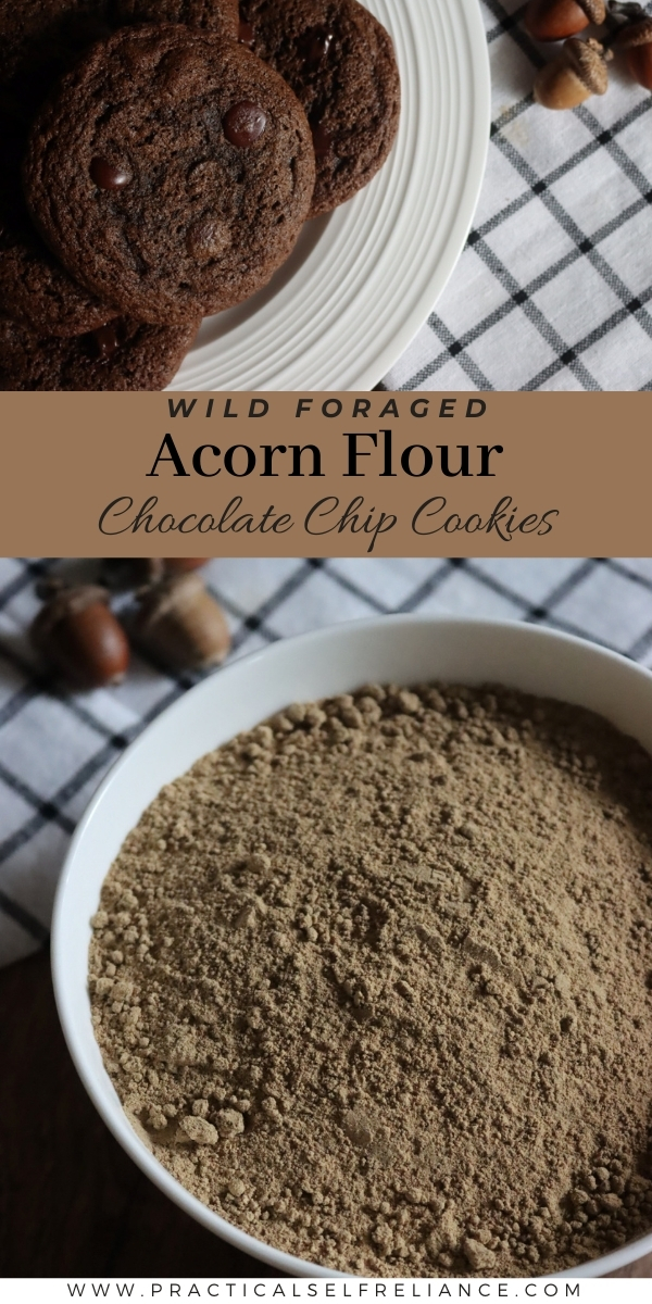 Acorn Flour Chocolate Chip Cookies Recipe