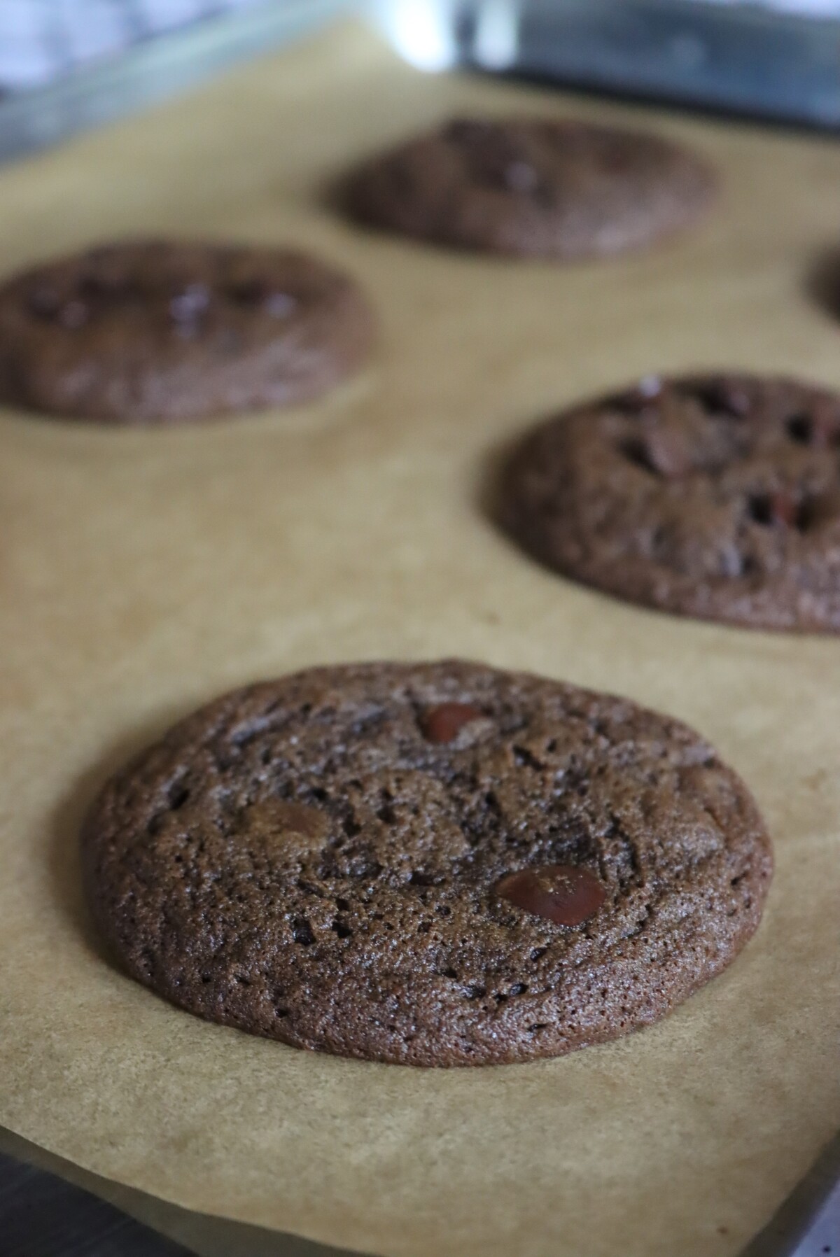 Acorn flour Cookies After Baking