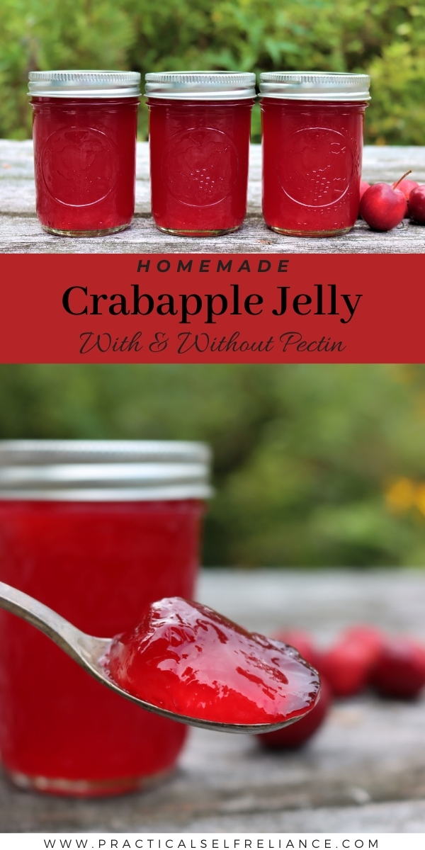 Crabapple Jelly Recipe for Canning