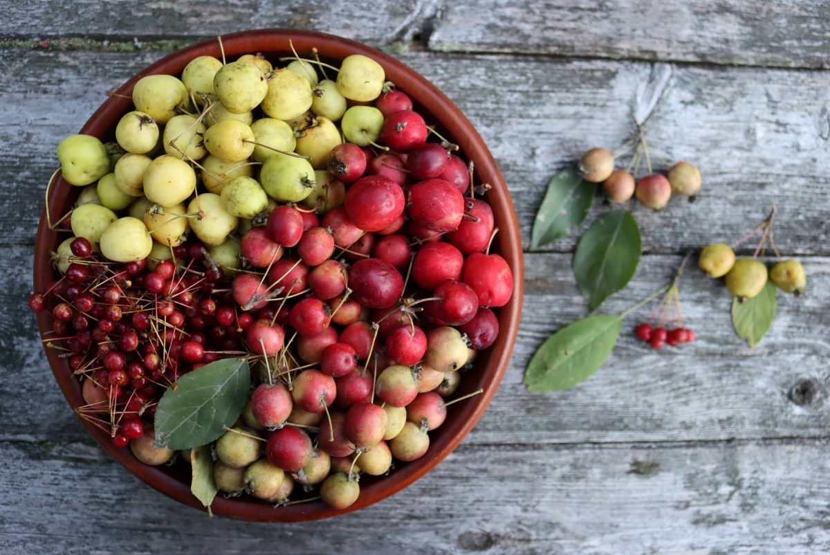 Crabapples