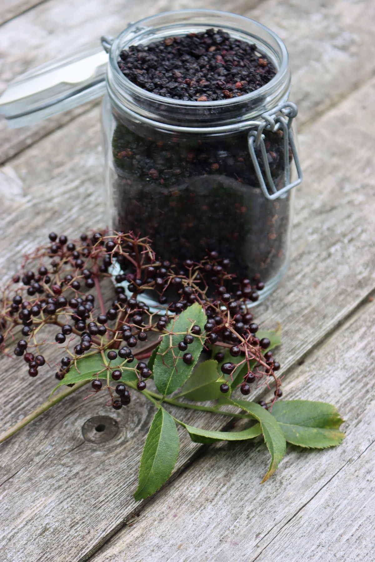 Dried Elderberries