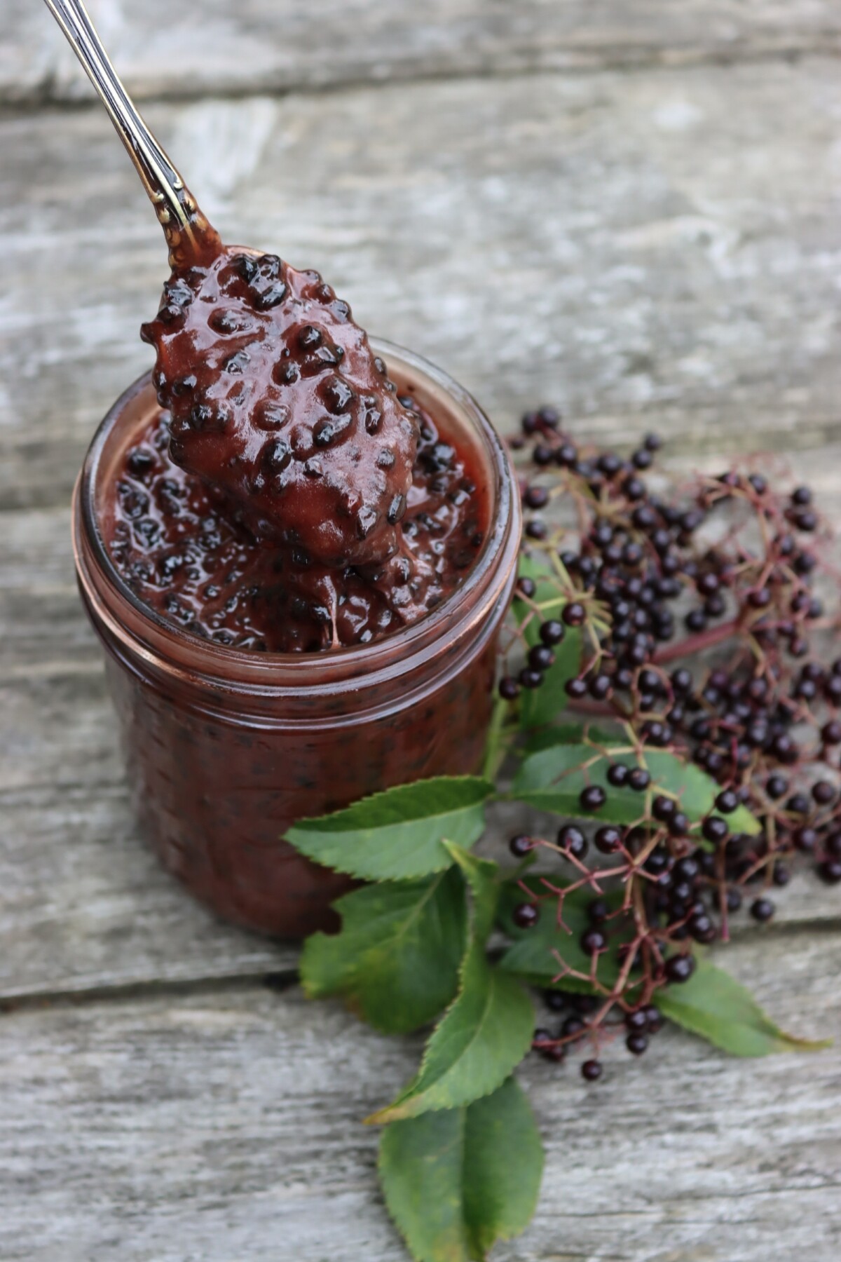 Elderberry Infused Honey
