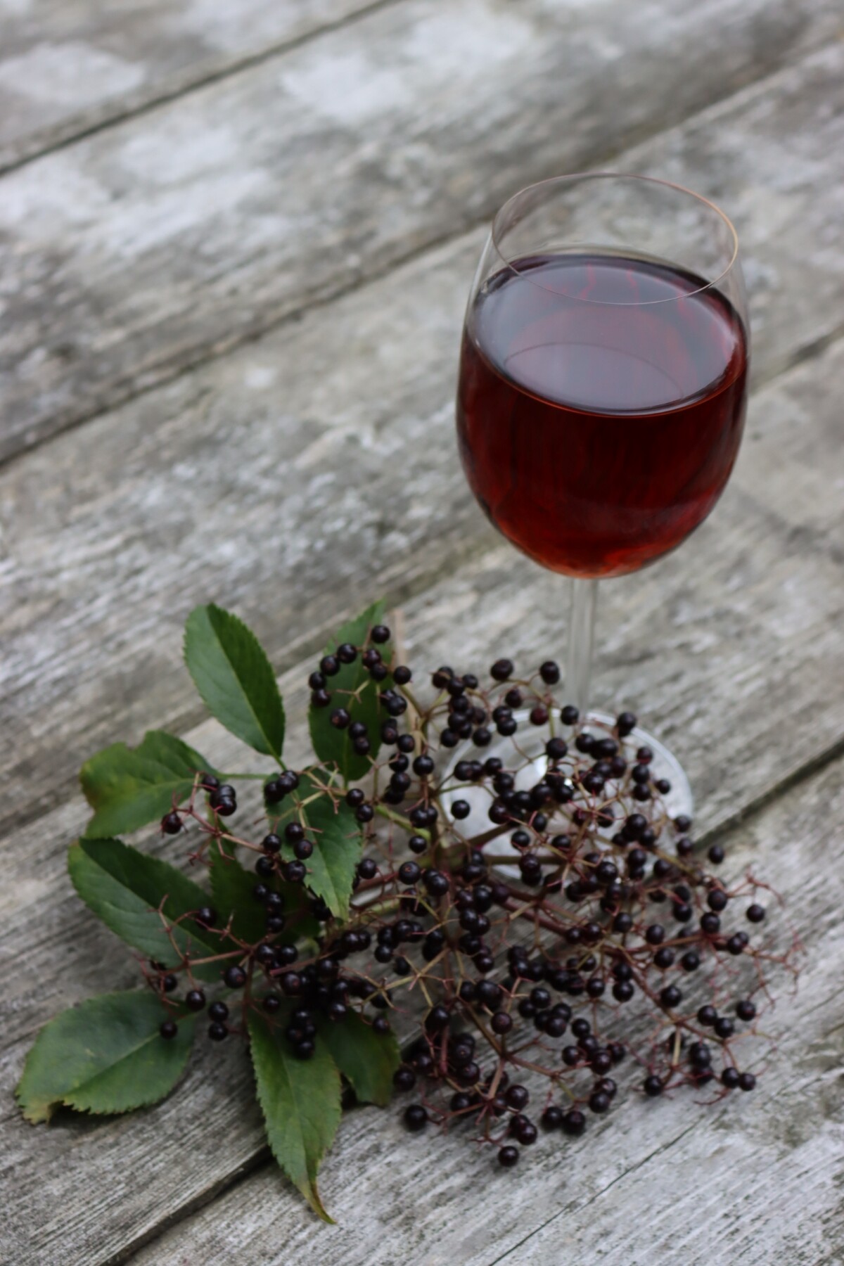 Elderberry Wine