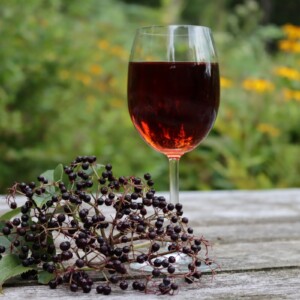 Elderberry Wine