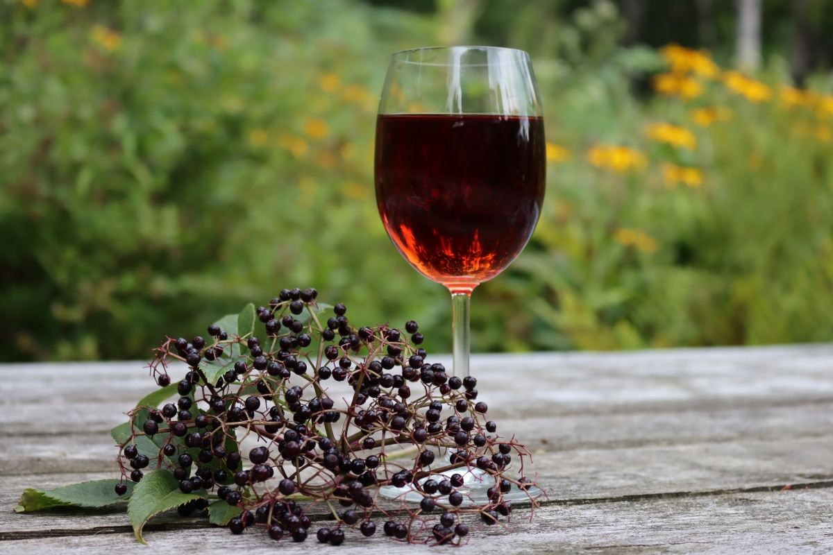 Elderberry Wine (& Mead)
