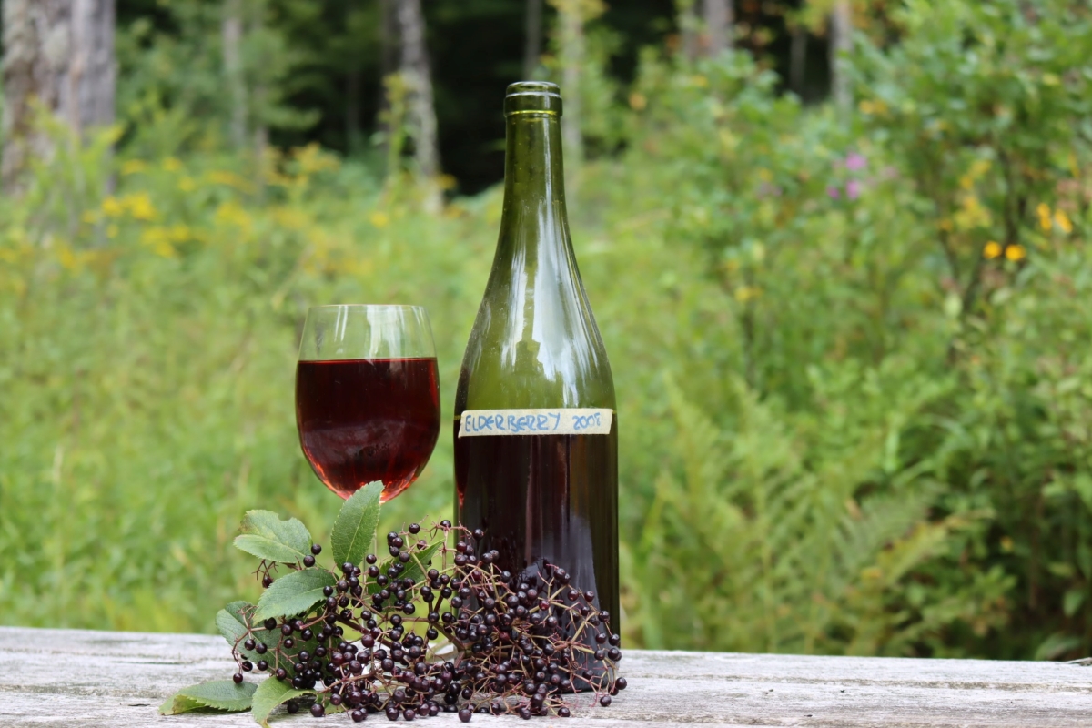 Elderberry Wine