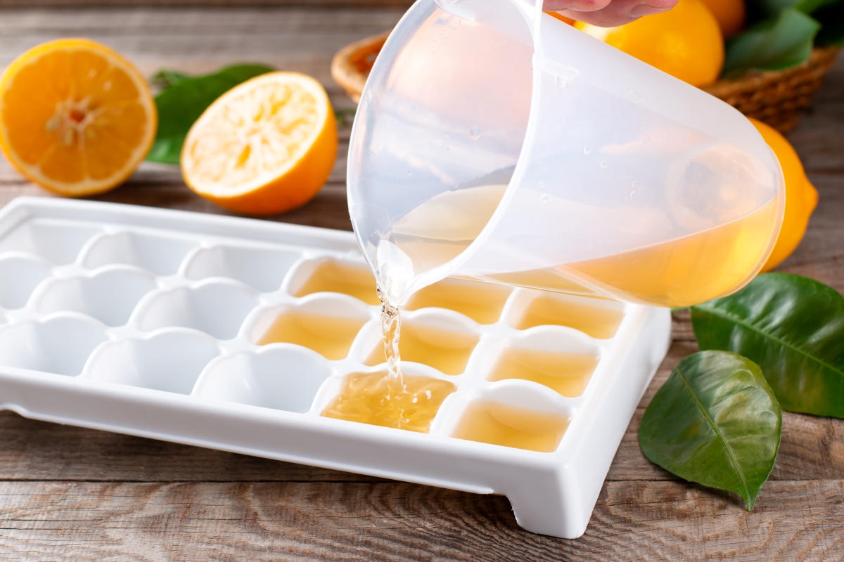 Freezing Fruit in Ice Cube Tray