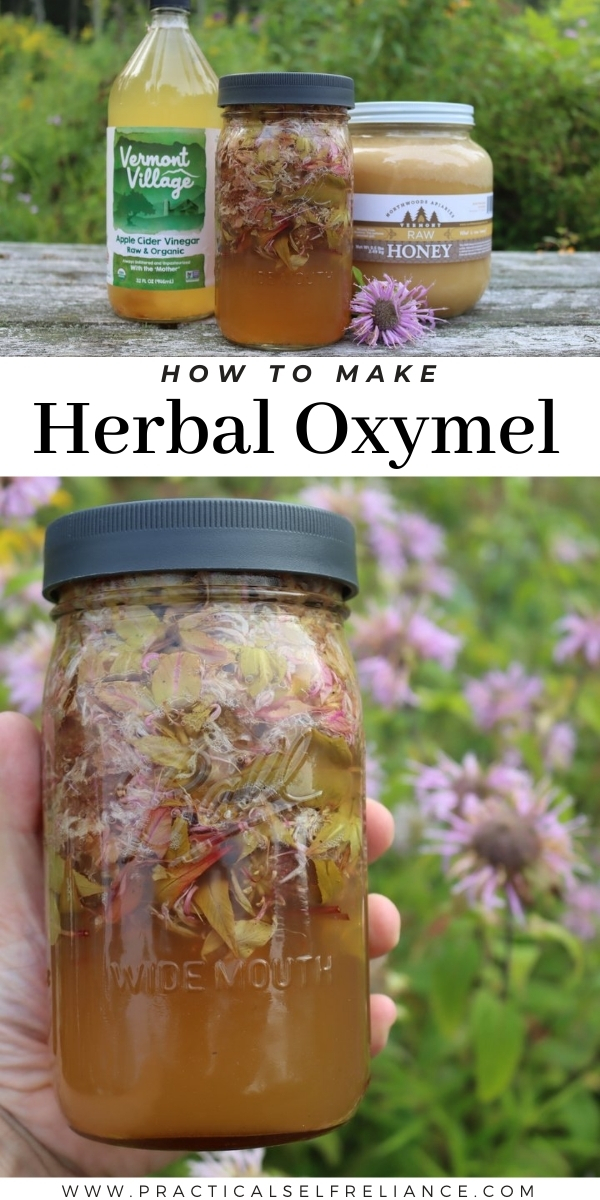 How to Make Herbal Oxymel
