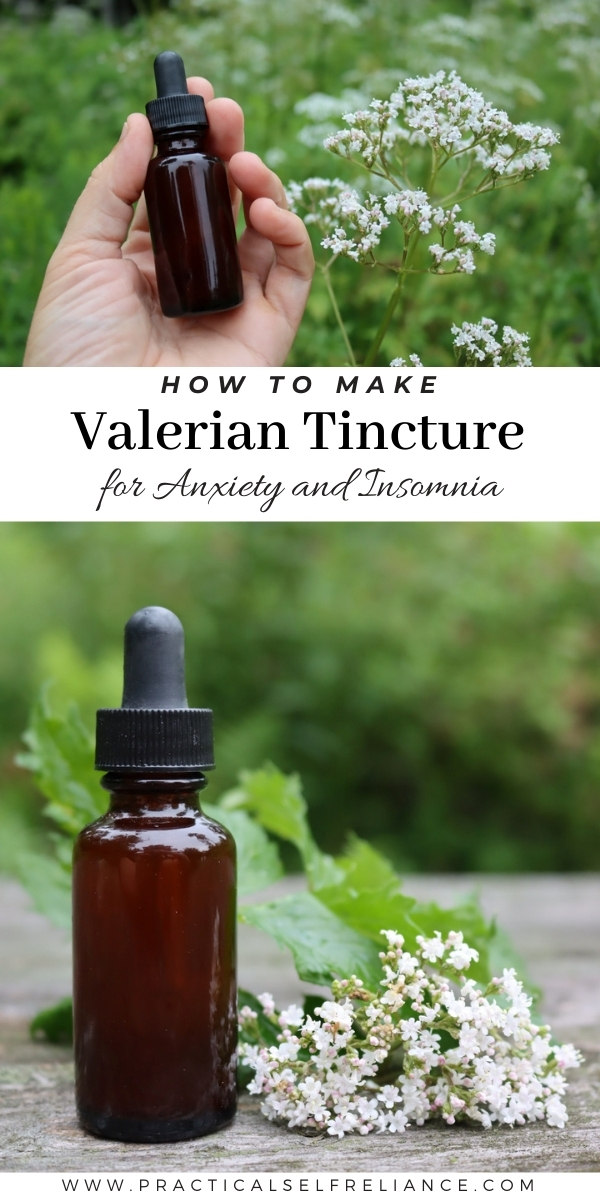 How to Make Valerian Tincture