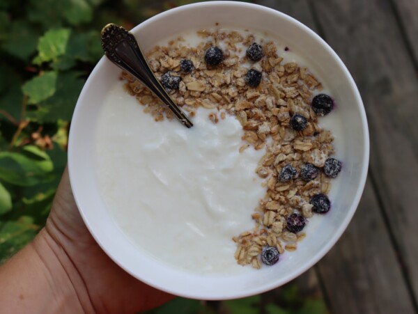 Mesophilic Yogurt